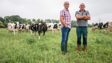 Photo of Lait biologique : De l’herbe 8 mois de l’année