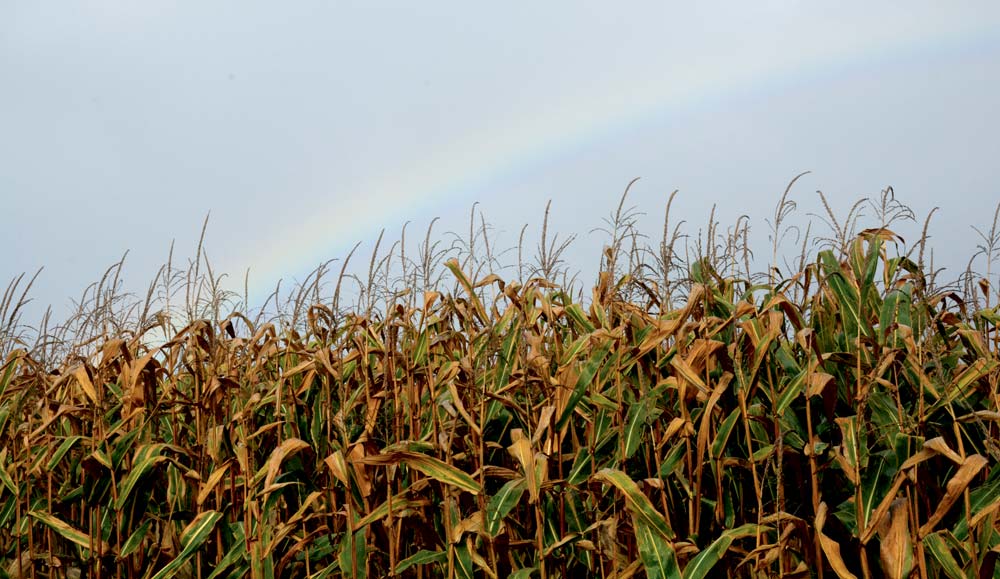  - Illustration Les Bretons vivent aussi le changement climatique