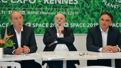 Photo of Porc : En profiter pour se moderniser