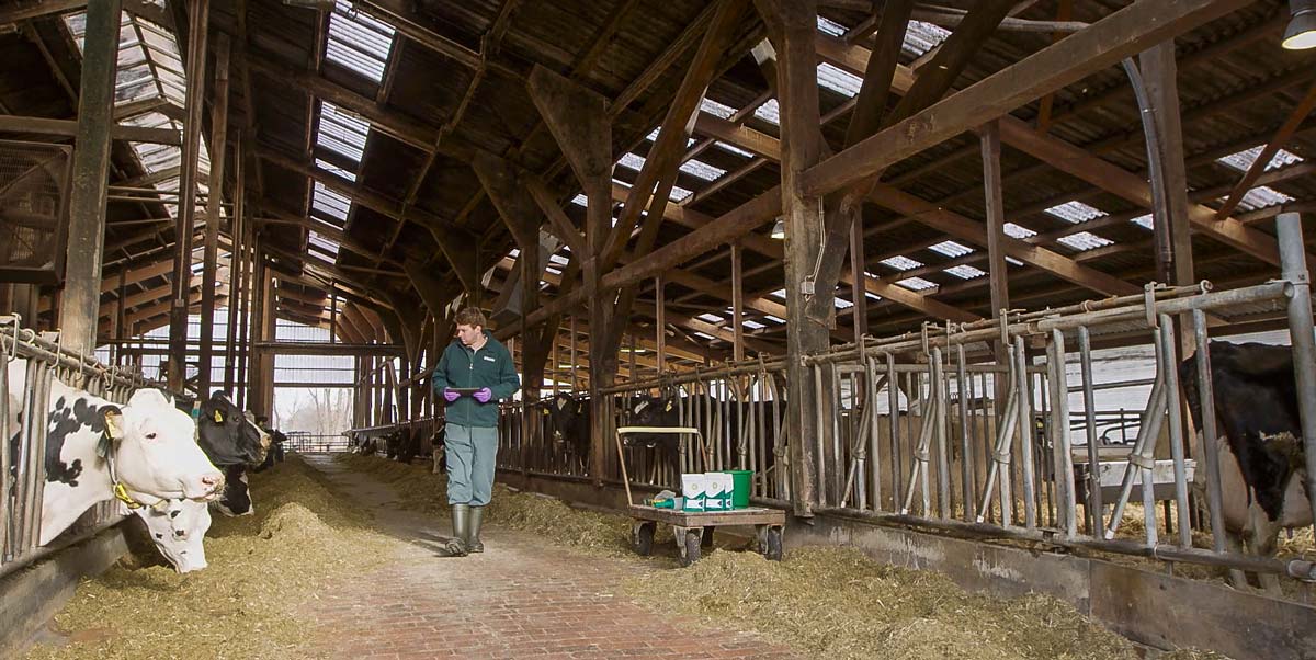  - Illustration Gérer correctement la stabilité du rumen. Mais comment ?