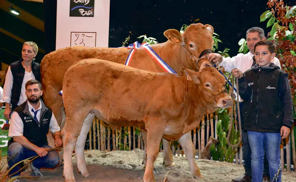  - Illustration Des inter-régionaux de haut niveau à Ohhh la Vache