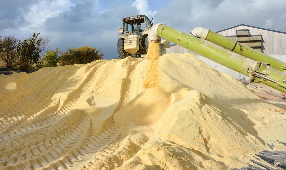  - Illustration Bientôt les premiers chantiers en grain humide