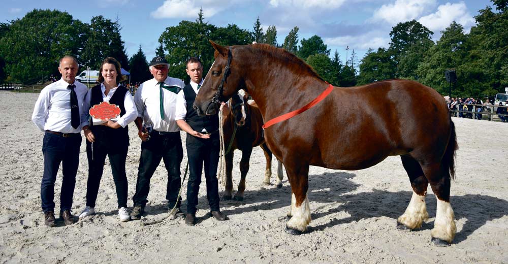  - Illustration Plus de 200 chevaux au National