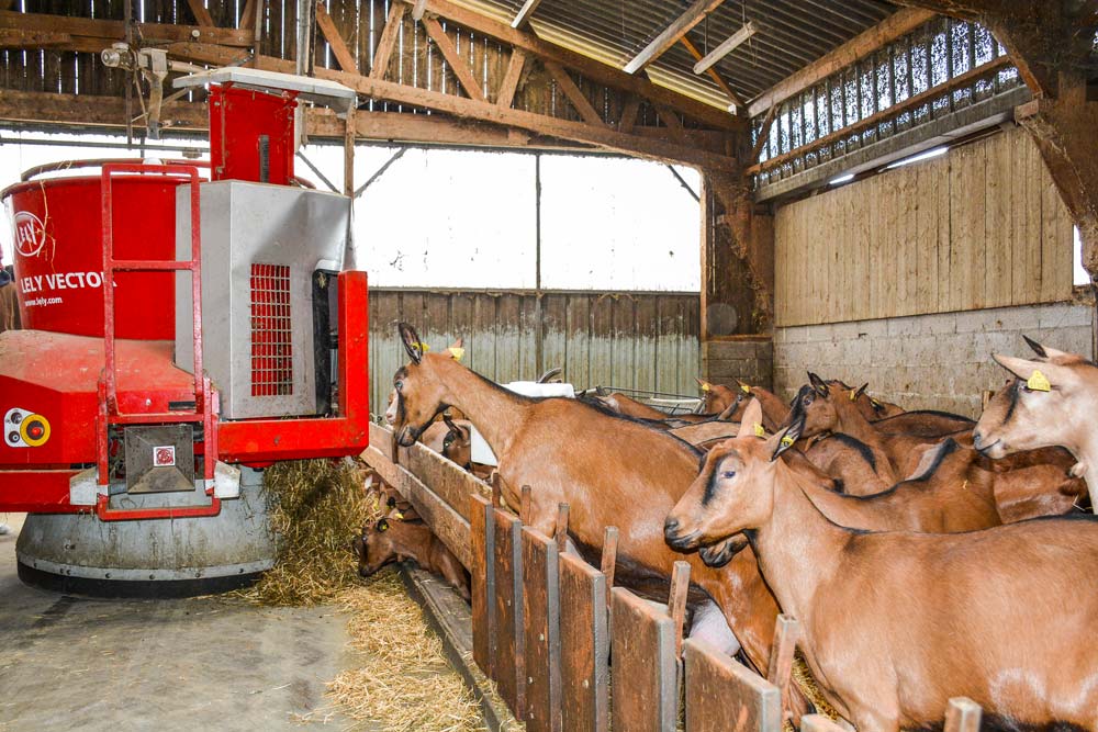  - Illustration Déléguer l’alimentation des chèvres à un robot