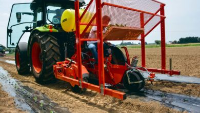 Photo of Planter et irriguer ses légumes en même temps