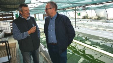 Photo of De la spiruline en bassin versant algues vertes