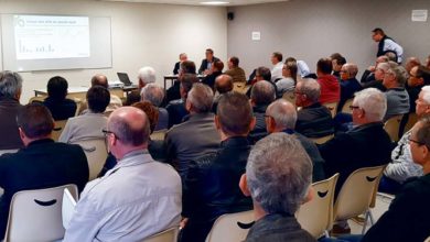 Photo of Volaille de chair, un bilan en demi-teinte