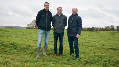 Photo of La luzerne bio déshydratée en croissance