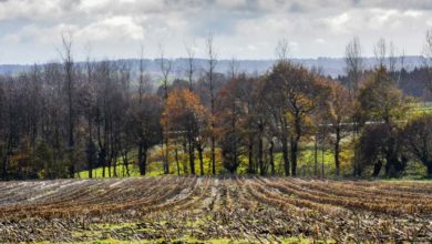 Photo of Un «green deal» européen aux accents agricoles