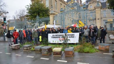 Photo of Maec et bio : Retrouver des budgets