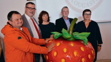 Photo of La fraise de Plougastel veut son IGP