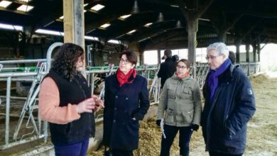 Photo of Ille-et-Vilaine : Le Département aide les agricultrices