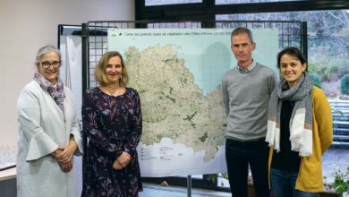 Photo of La Bretagne se dote d’une carte numérique de sa végétation