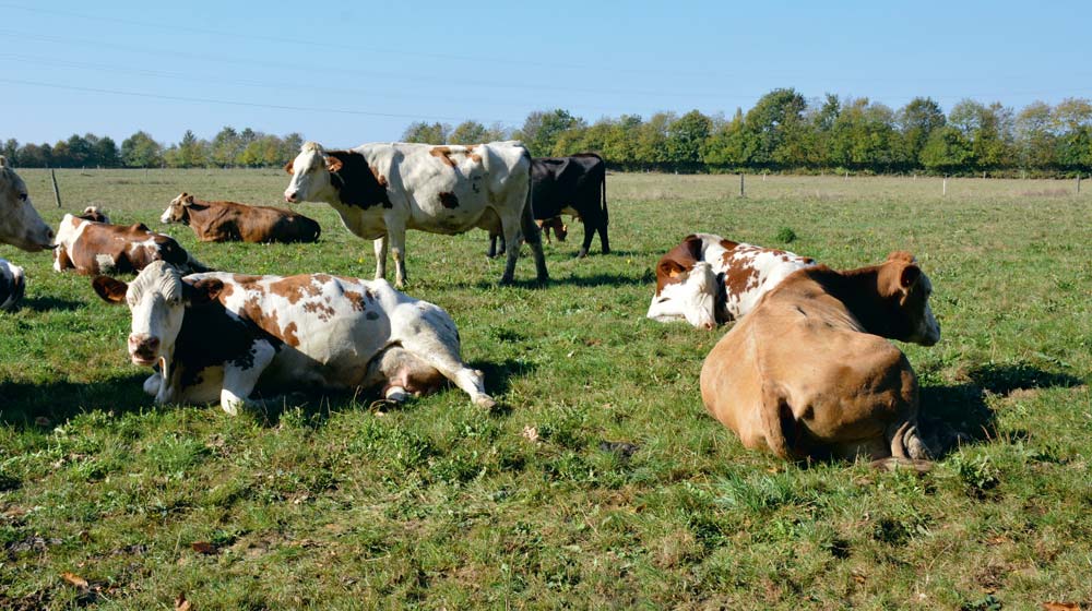  - Illustration Des agriculteurs qui s’adaptent au changement climatique