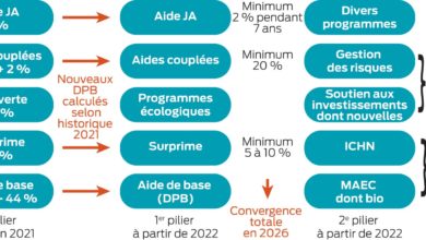 Photo of Une Pac toujours plus verte
