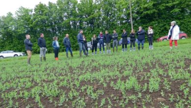 Photo of La restauration collective : un levier pour la Bio ?