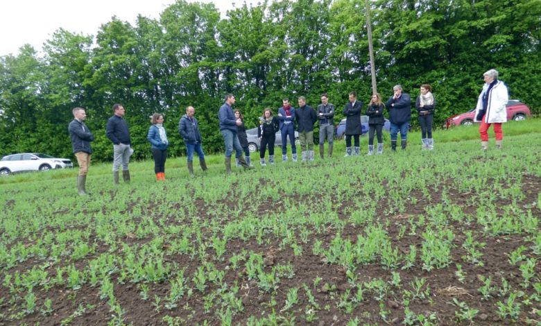 La Restauration Collective Un Levier Pour La Bio Journal Paysan Breton