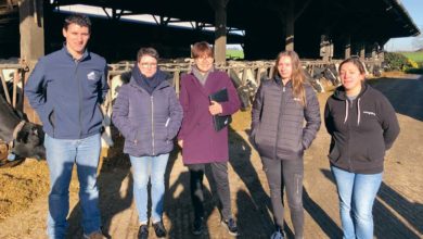Photo of Le site Internet «stage agricole» s’étoffe