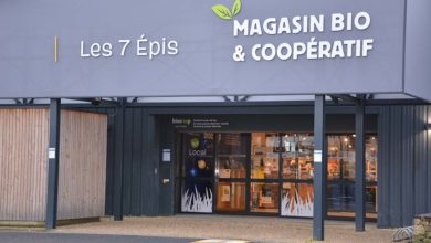 Photo of Les magasins bio vont devoir se démarquer