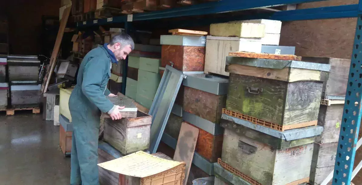  - Illustration Pendant l’hivernage des ruches, que font les apiculteurs ?
