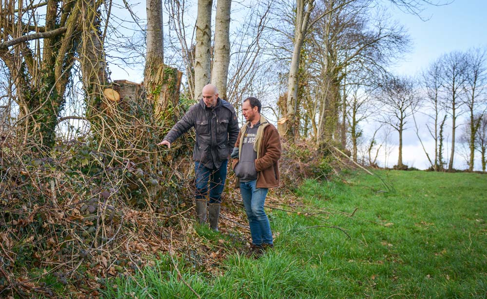  - Illustration La demande grandit en bois de bocage