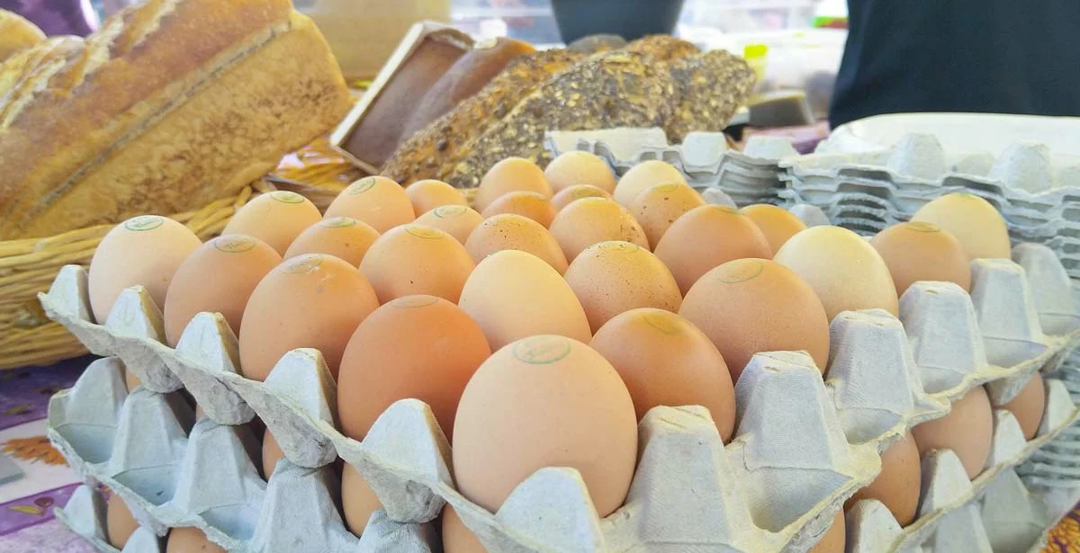  - Illustration Le confinement a fait augmenter les ventes d’œufs de 44 %