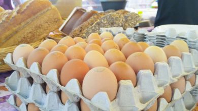 Photo of Le confinement a fait augmenter les ventes d’œufs de 44 %