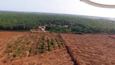 Photo of Du maraîchage à la nantaise au Bénin
