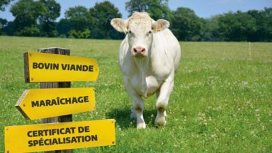 Photo of Le certificat de spécialisation, une vraie valeur ajoutée
