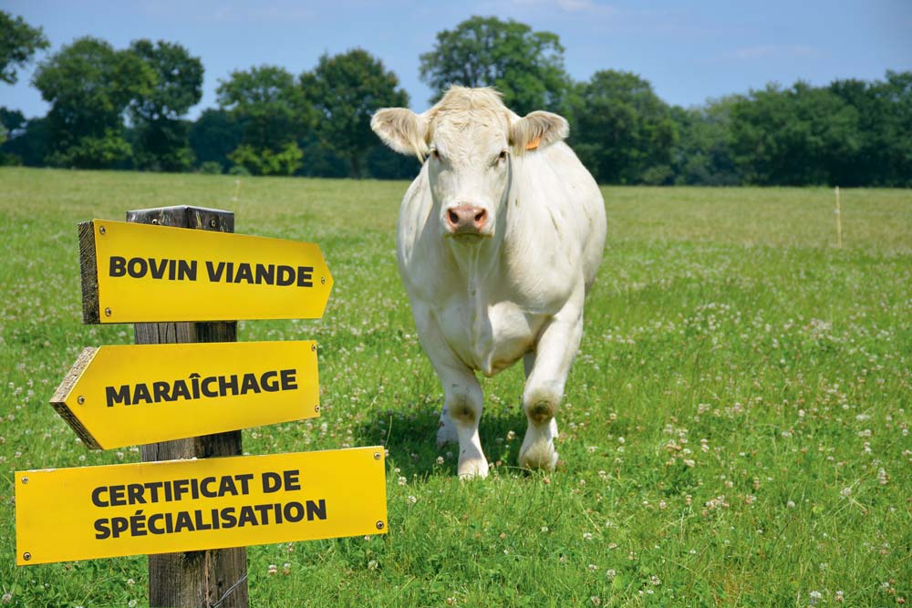  - Illustration Le certificat de spécialisation, une vraie valeur ajoutée