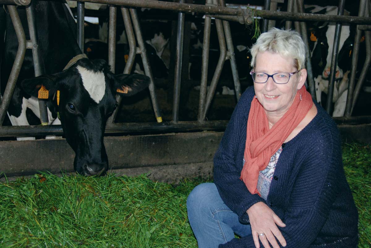  - Illustration Jeltsje, la Bretonne venue de l’autre pays du fromage
