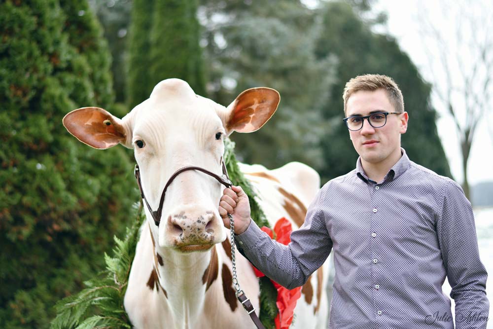  - Illustration Aux États-Unis avec six cents vaches