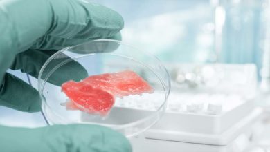 Photo of Levée de fonds record pour une start-up de viande in vitro