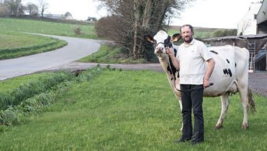 Photo of Salon de l’Agriculture : Melenig prend le train de Paris