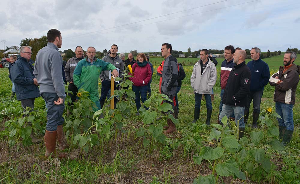  - Illustration L’agroécologie progresse en collectifs