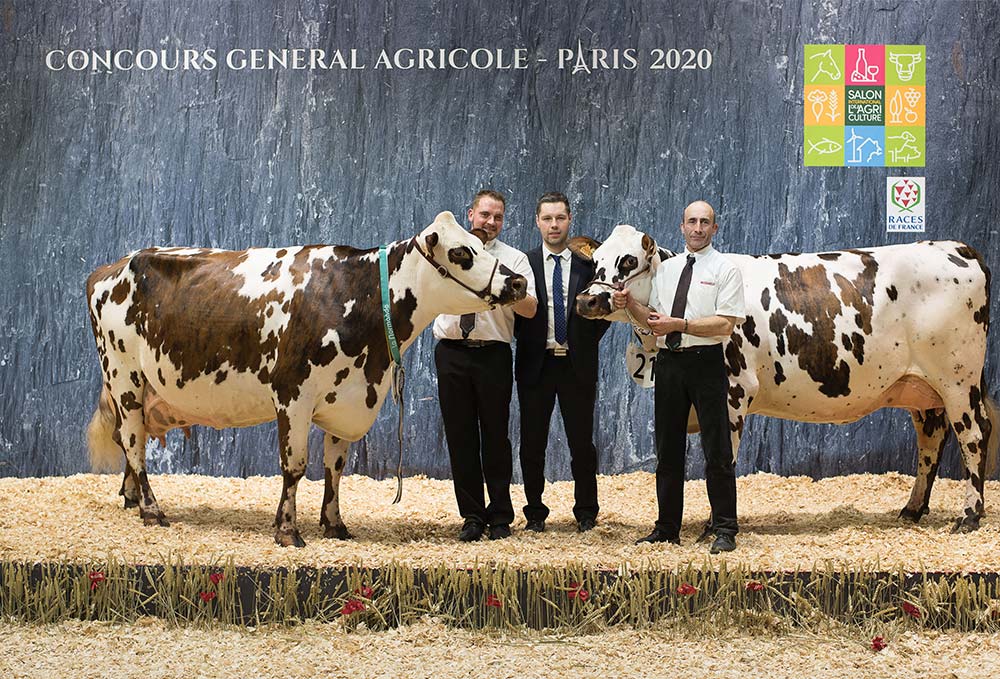  - Illustration Concours Normande Salon de l’Agriculture : Indétrônable Hamilton
