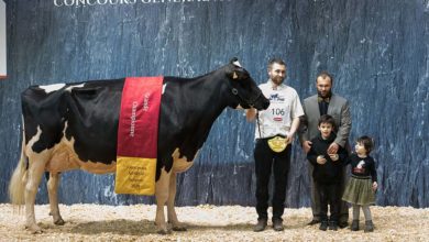Photo of Concours Prim’Holstein Salon de l’Agriculture : Du Bon Vent Janna Cama prend le large