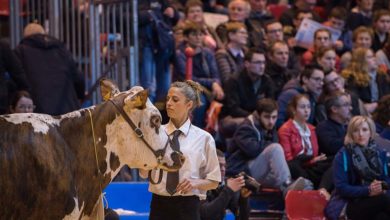 Photo of Salon de l’Agriculture : Les éleveurs bretons à Paris