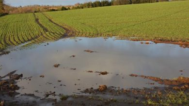 Photo of Météo : Les 10 prochains jours seront déterminants