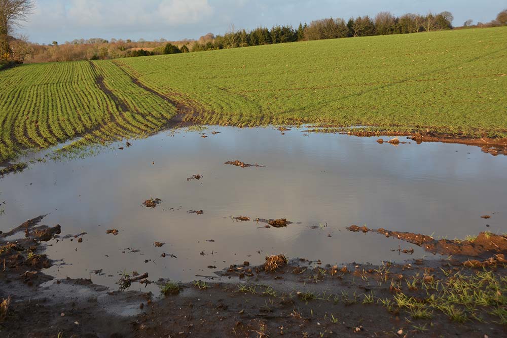  - Illustration Météo : Les 10 prochains jours seront déterminants