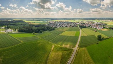 Photo of L’herbe est-elle plus verte ailleurs ?
