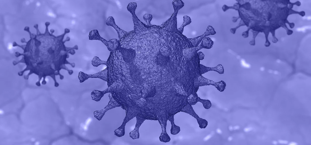  - Illustration Coronavirus : Bruxelles ouvre la voie à un report d’un mois des demandes d’aides Pac