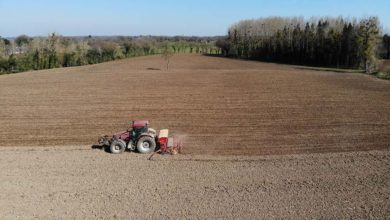 Photo of Les semis d’orge de printemps se terminent