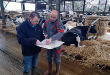 Photo of L’impact du renouvellement des générations sur le bâtiment
