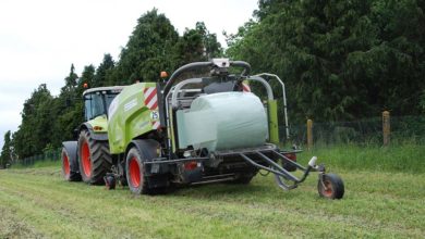 Photo of Clés de réussite de l’enrubannage