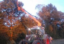 Photo of Pas de dérogation pour tailler les haies en bord de champ