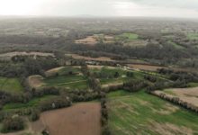 Photo of Report des déclarations Pac au 15 juin