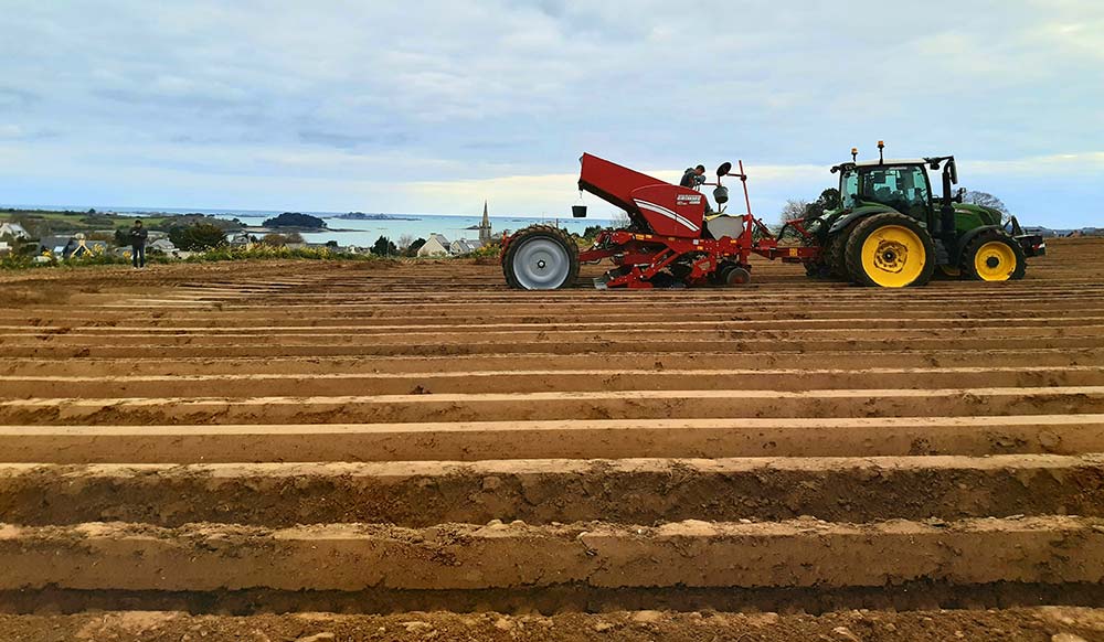  - Illustration Fin des plantations de pommes de terre primeur