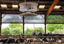 Photo of Comment échapper au stress thermique ?