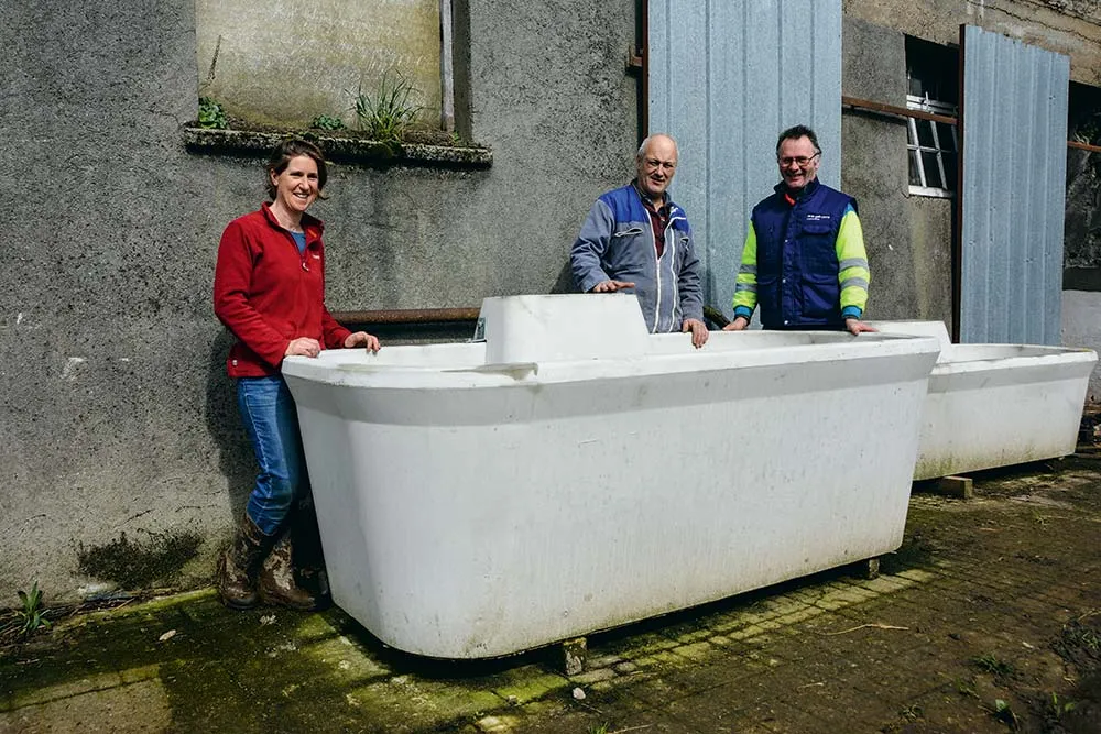  - Illustration Une idée en béton pour les pâtures